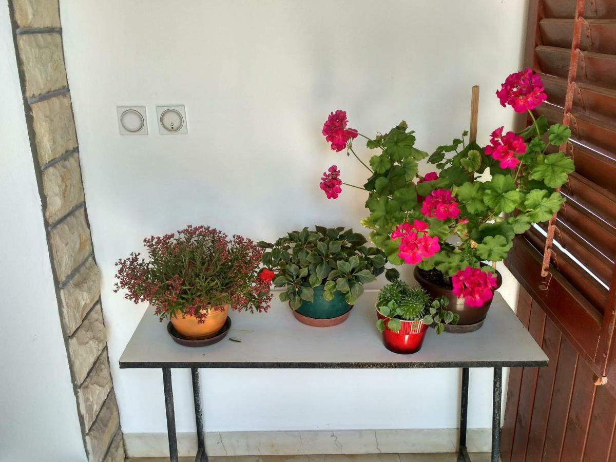 Apartmani Tonica Sukošan المظهر الخارجي الصورة